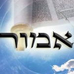 Parshat Emor Highlights