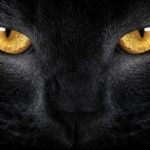 Master and Margarita by The Russian Arts Theater