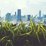 Thailand’s Jewish History and Population